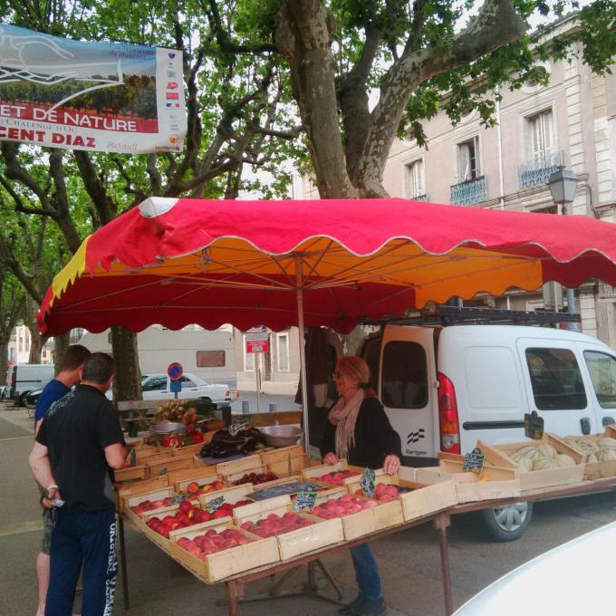 chez-angele-montagnac-146744322379